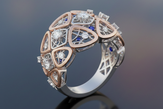 קורס ריינו בזום